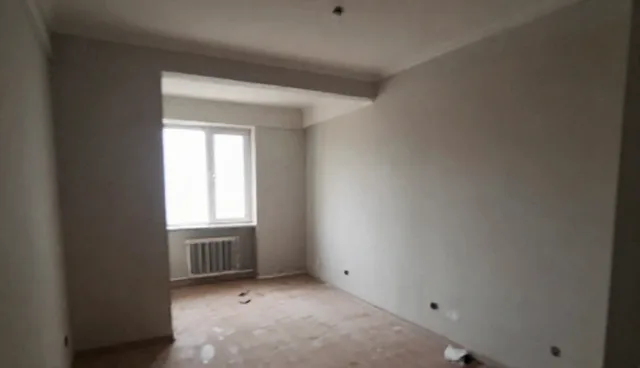 技术项目在实际应用中的常见问题与限制